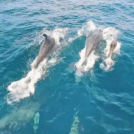 Villa Dominica *